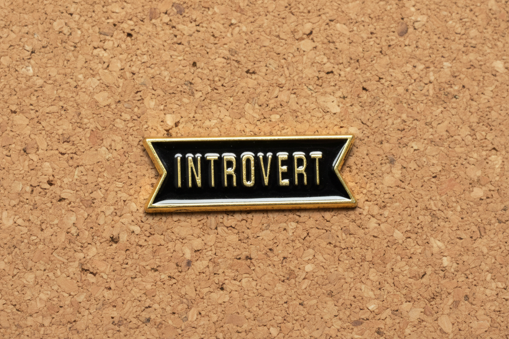 Introvert Enamel Pin - Black & Gold Badge Style Lapel Pin- Minimal Gothic Accessory
