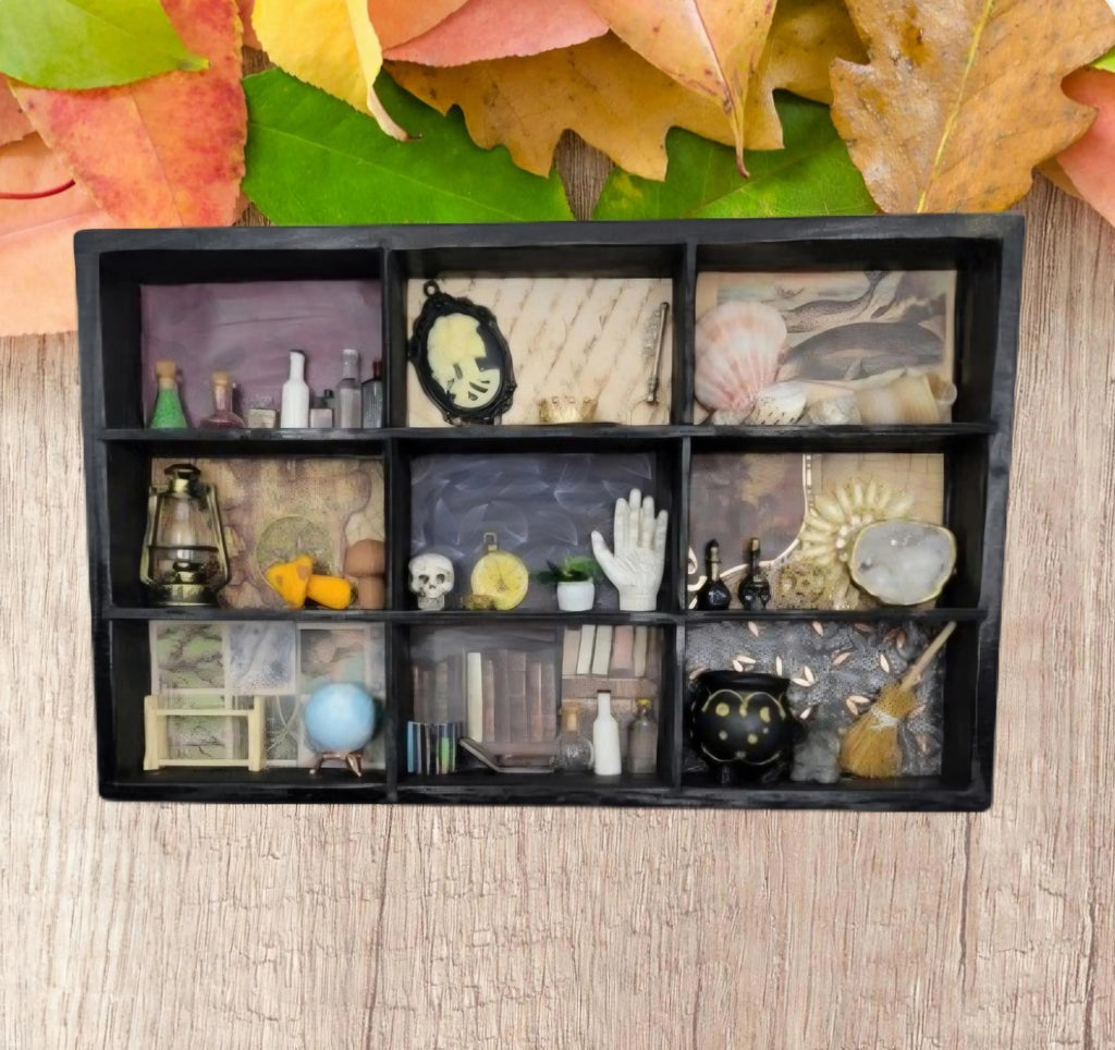 Upcycled Black Cabinet of Curiosities - Apothecary Witch Shelf - Handmade Gothic Miniature Display Decor