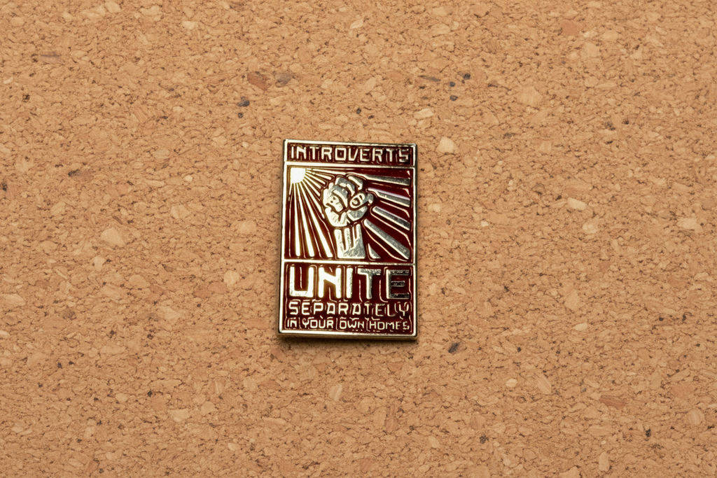 Funny Introvert Enamel Pin – Introverts Unite Separately in Your Own Homes – Red Silver Lapel Pin