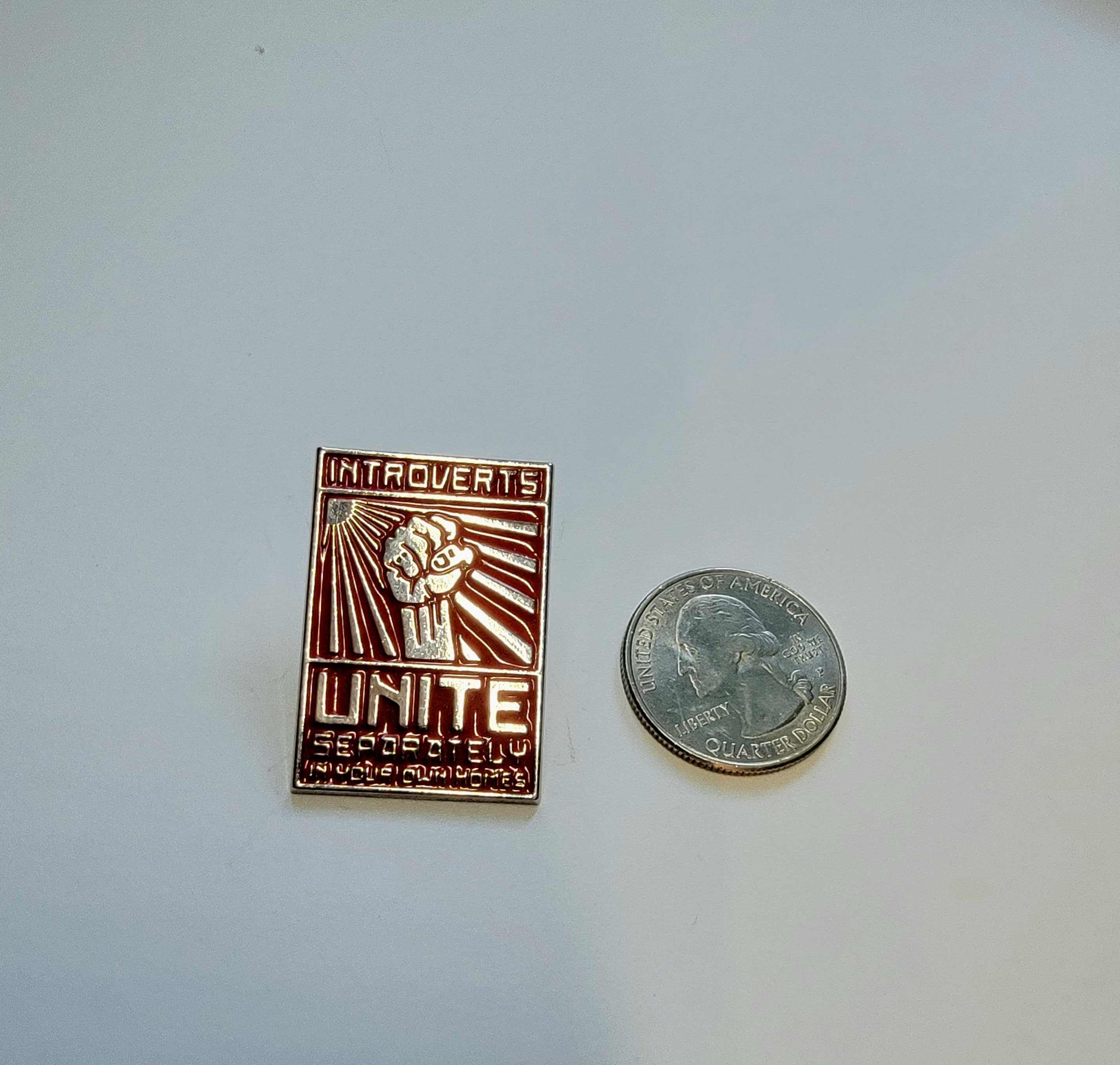 Pin with 'Introverts Unite' text next to a quarter on a white background