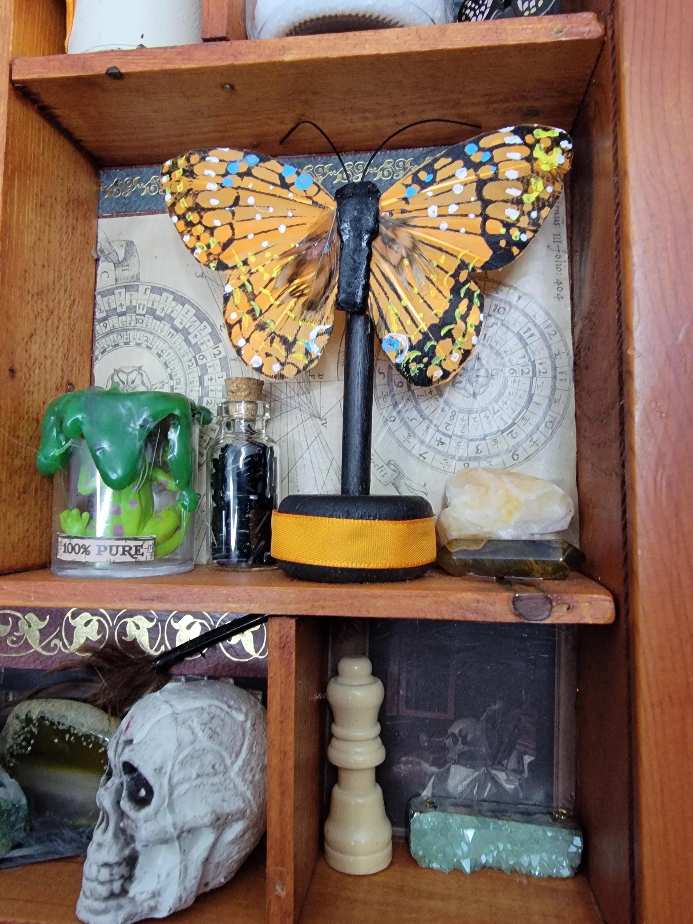 Upcycled Brown Cabinet of Curiosities - Witchy Miniature Wall Shelf with Crystals, Skull & Potin Bottles - Gothic Decor