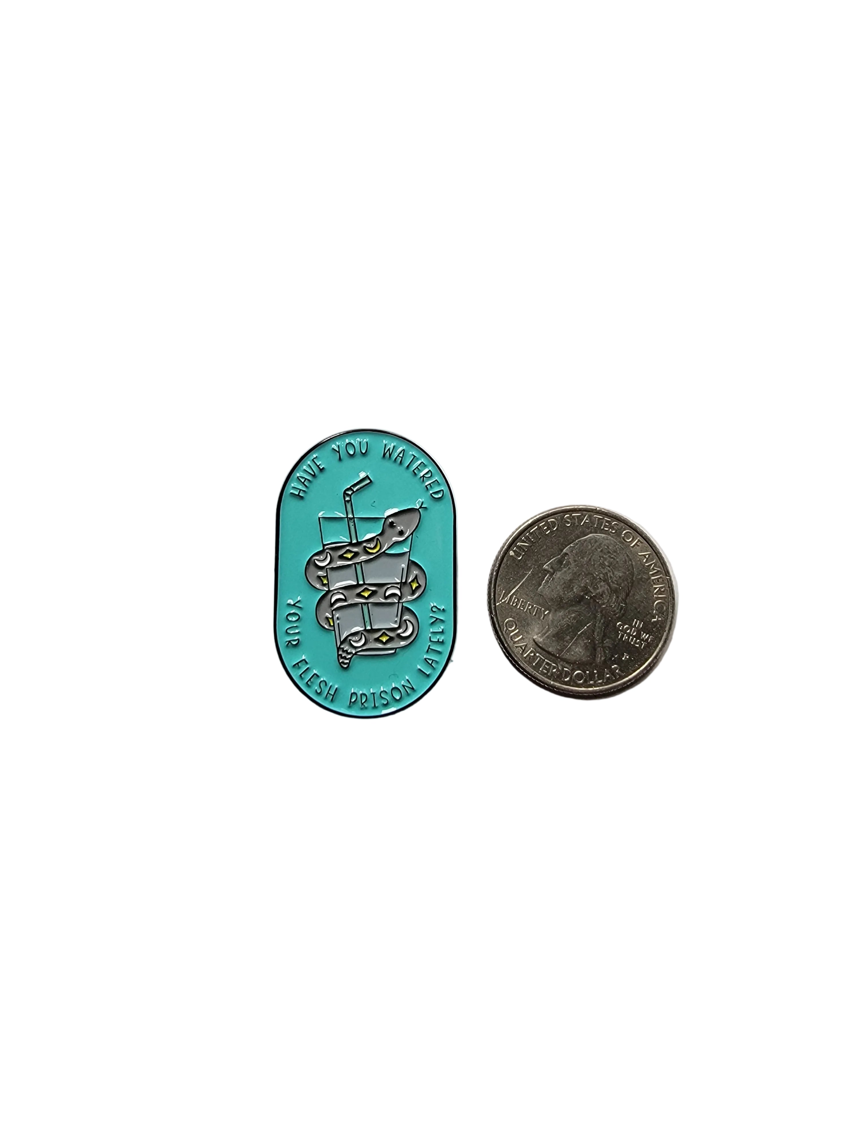 a teal enamel pin with a snake and water next to a quarter on a white background